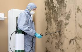 Satsuma, AL Mold Removal Services Company